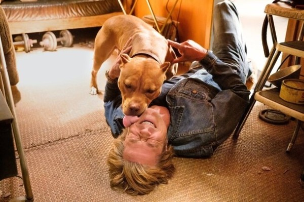 Собачья пальмовая ветвь: как на Каннском кинофестивале чествуют хвостатых актеров