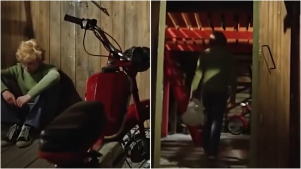 Киноляпы сериала &laquo;Приключения Электроника&raquo;: статуя с эмоциями, РЭССИ двух разных пород