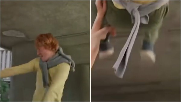 Киноляпы сериала &laquo;Приключения Электроника&raquo;: статуя с эмоциями, РЭССИ двух разных пород