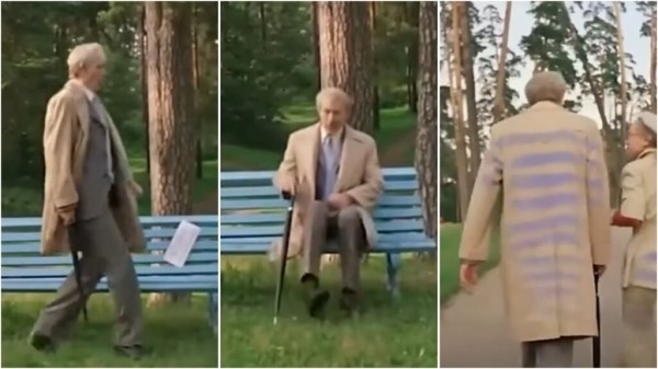 Киноляпы сериала &laquo;Приключения Электроника&raquo;: статуя с эмоциями, РЭССИ двух разных пород