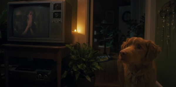 &laquo;Глазами пса&raquo;: Рецензия Киноафиши