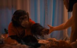 Обезьянка из члена семьи превращается в убийцу в трейлере хоррора «Примат»