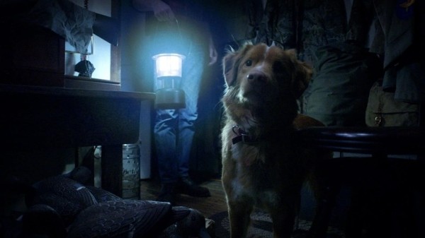 &laquo;Глазами пса&raquo;: Рецензия Киноафиши