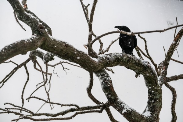 &laquo;Сущность&raquo;: Рецензия Киноафиши